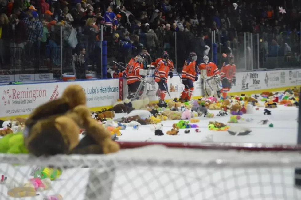 Get Your Teddy Bear Toss Game Tickets Before They Sell Out