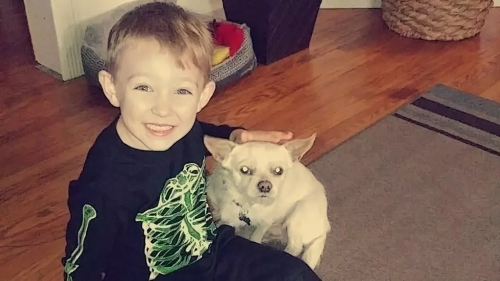 Upstate New York Couple Start Petition After Neighbor’s Dog Attacks and Kills Family Pet