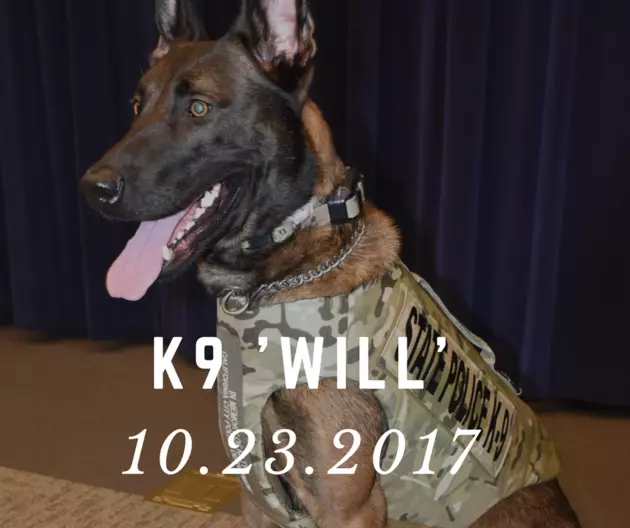 New York State Police K9 Killed in the Line of Duty