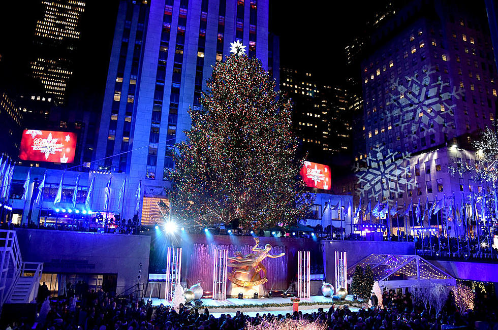 2018 Rockefeller Christmas Tree Coming From Farm in Newburgh, New York