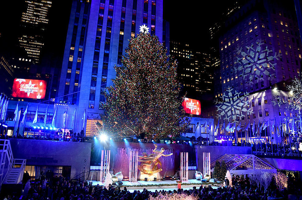 Rockefeller Christmas Tree Comes From the Hudson Valley