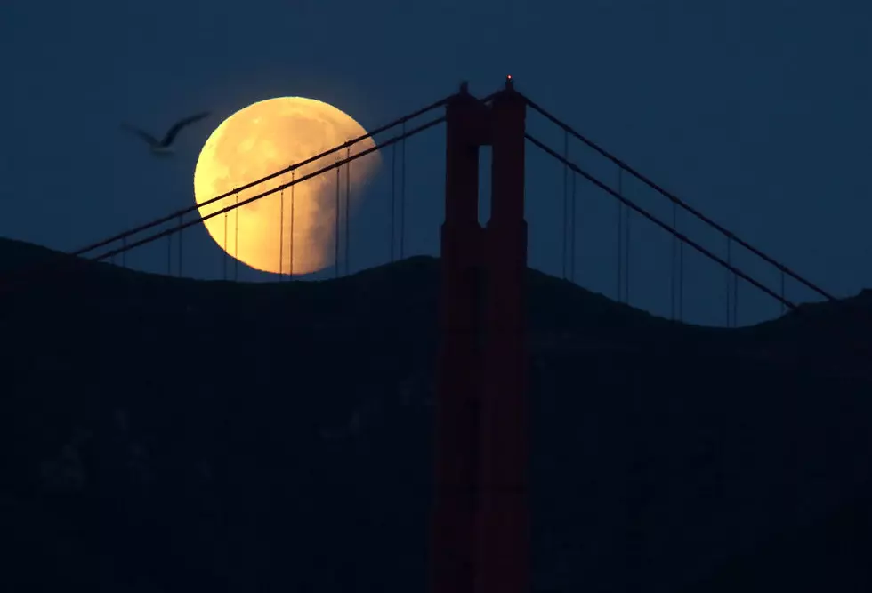 Miss The Super Blood Moon? Watch The Sky For These Events In 2018