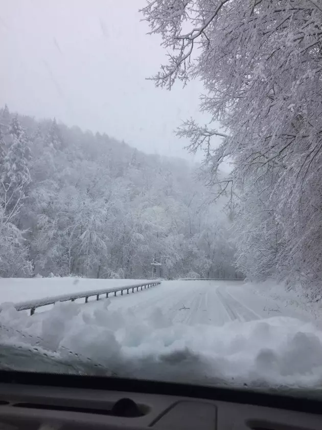 Here&#8217;s What The Ilion Gorge Looks Like Under All This Snow