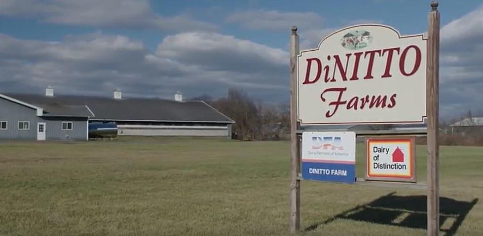 Meet a Central New York Farmer – DiNitto Farms in Marcy