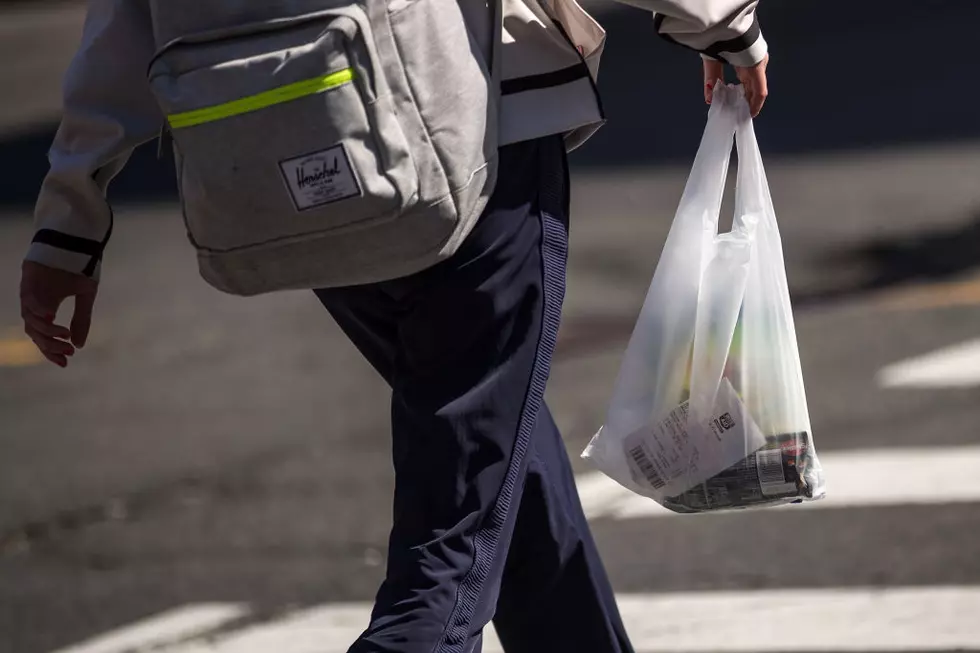 Don&#8217;t Forget Your Reusable Bag, Plastic Bag Ban Back in Effect in New York