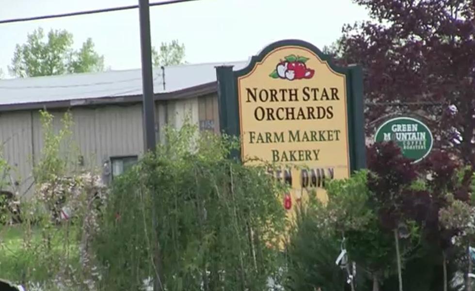 It’s Officially Spring! North Star Orchards Opens for Season