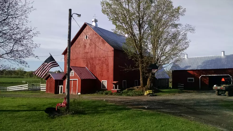 Go Inside Sheriff Rob Maciol's Six Point Acres Farm