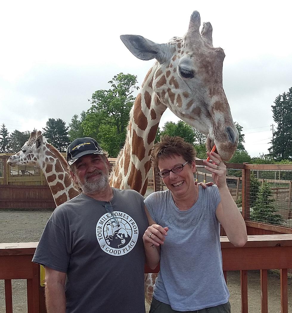 Go Inside the Animal Adventure Park with April the Giraffe