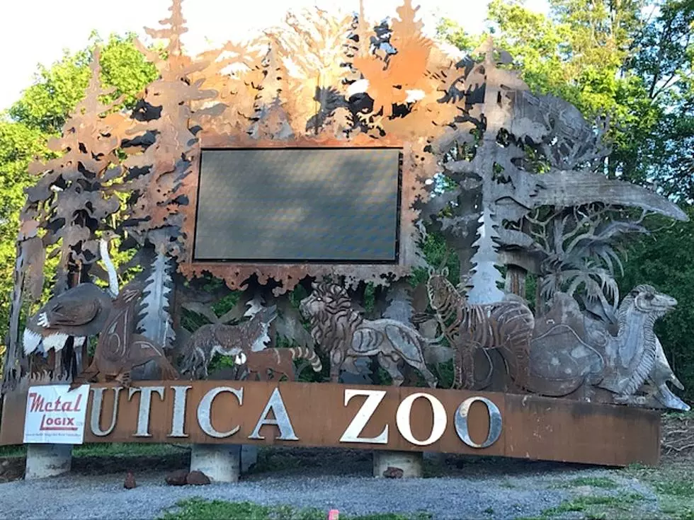 Explore The Utica Zoo In The Dark