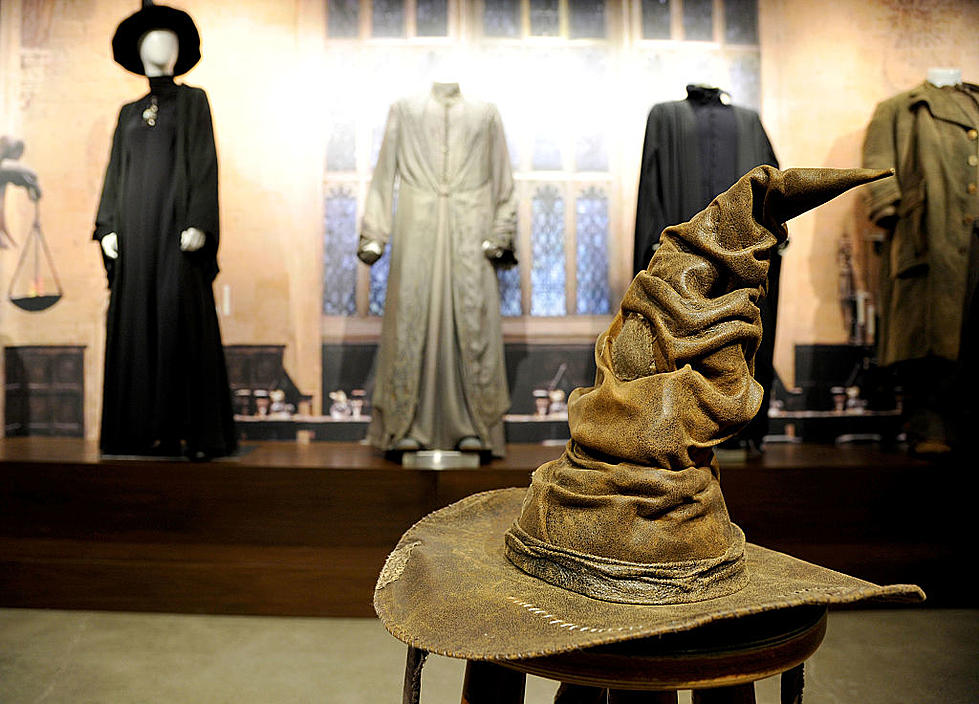 More Harry Potter Wizardfests Coming To New York