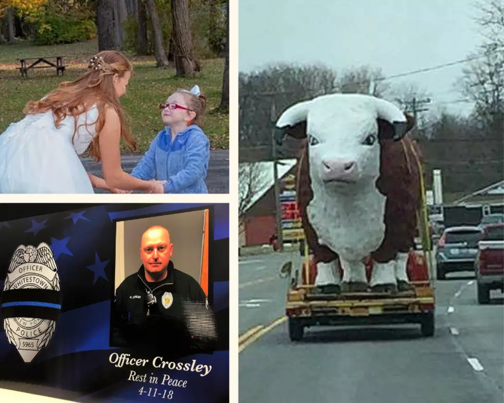 Top 12 Stories in Central New York for 2018