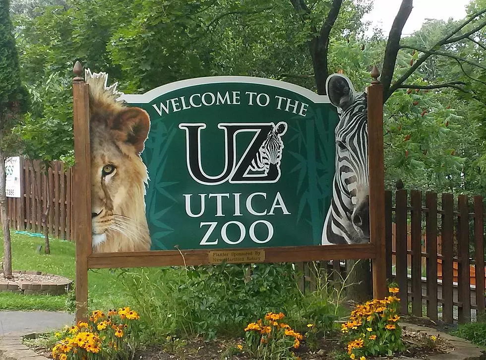 Utica Zoo Gets National Attention