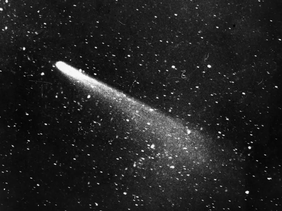 Brightest Comet of the Year