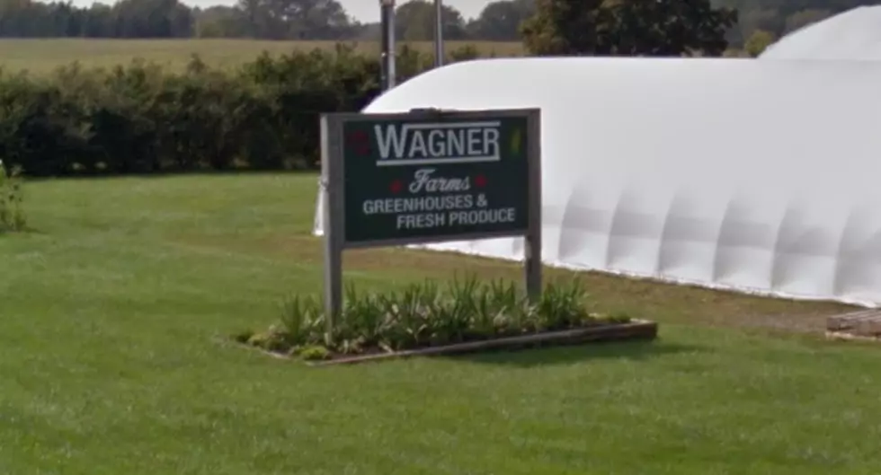 Wagner Farms To Shut Down By End Of 2018