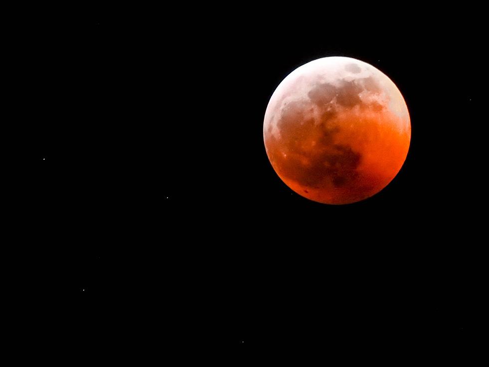 Photographer Braves Arctic Cold to Capture Blood Moon Over Central New York