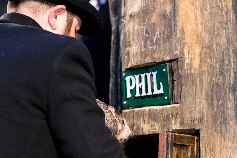 Live Stream Punxsutawney Phil On Groundhog Day