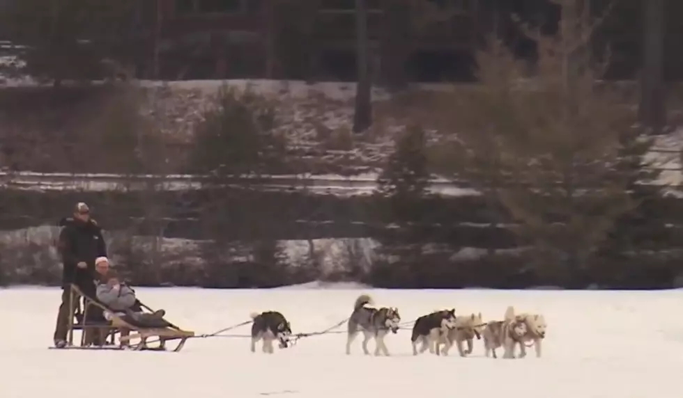 Go Dog Sledding Through the Adirondacks This Winter