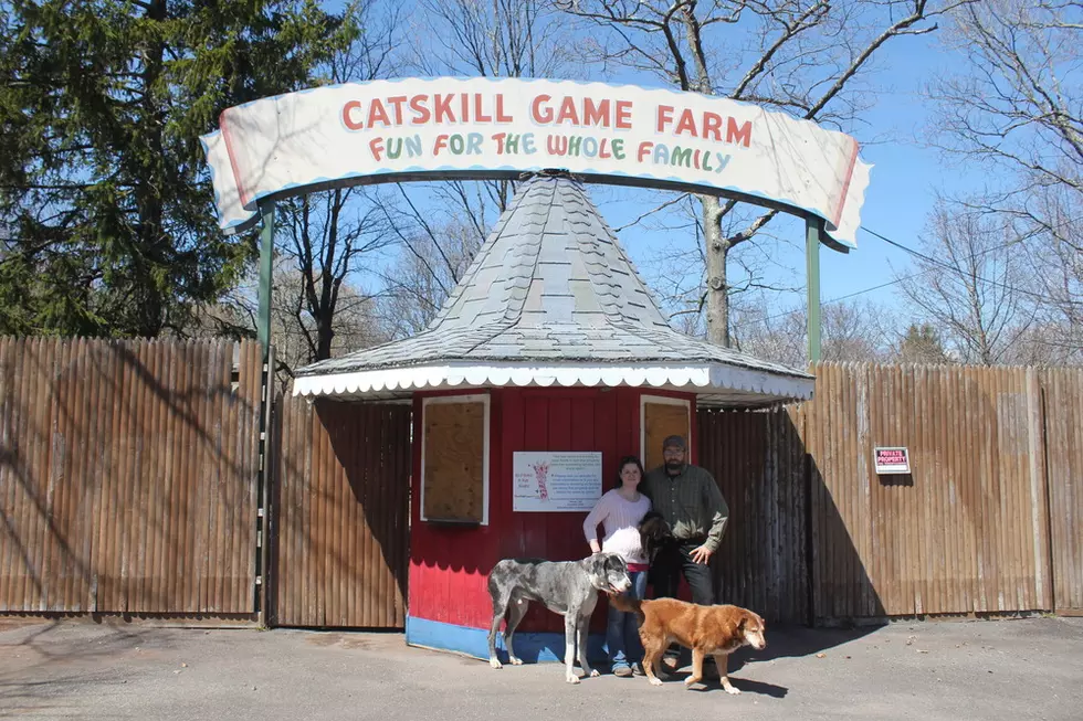 Get Married in the Giraffe House at the Old Catskill Game Farm