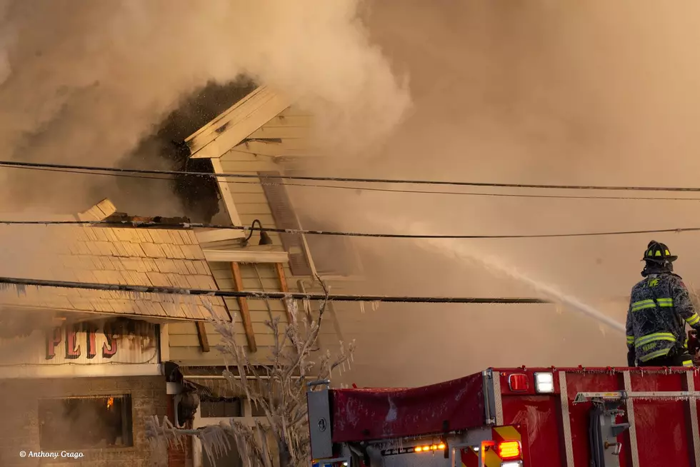Devastating Fire at Peterson's Pet Shop in Rome