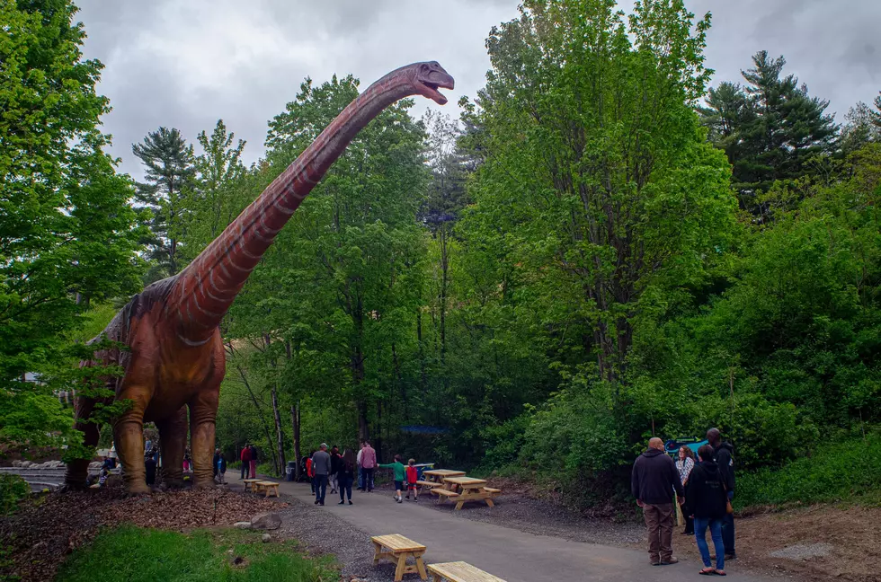 Dinosaur Park Opens in New York