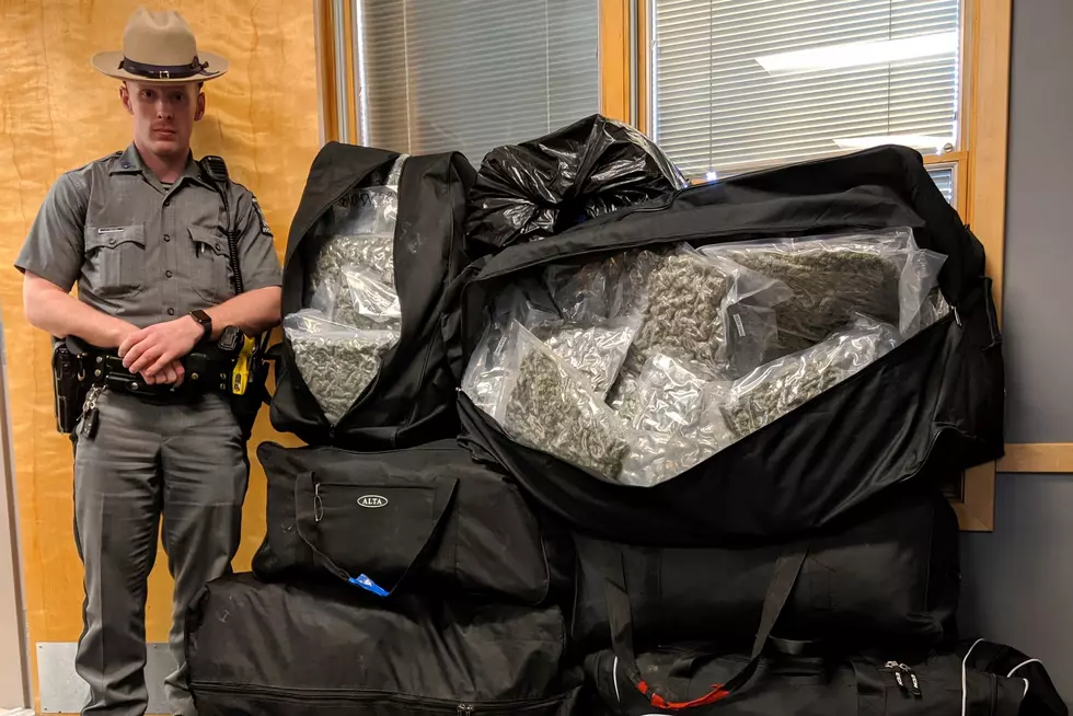 Police Find Over 200 Pounds of Pot, Upstate New York Couple Charged