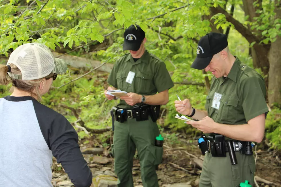 Conservation Officers Rescue Two Fawns In Separate Incidents