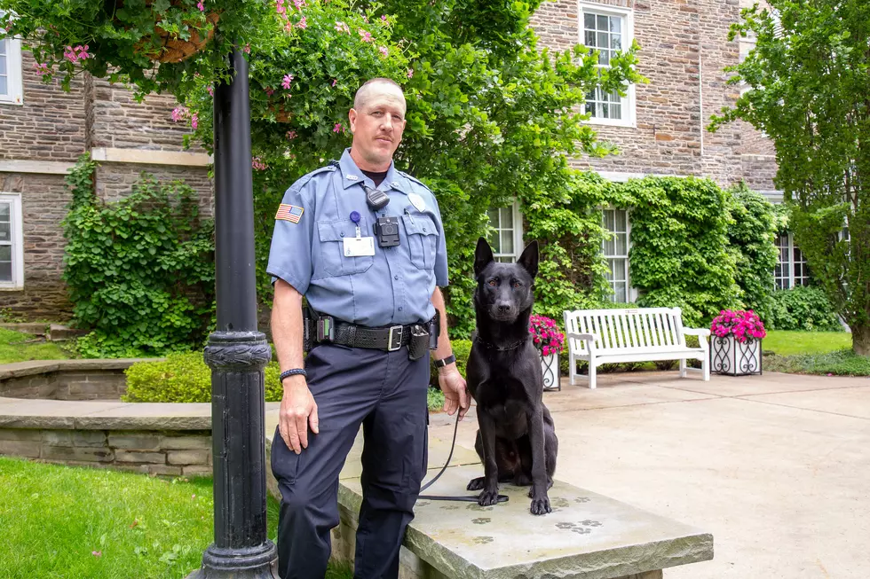 New Security Dog at Upstate NY Hospitals