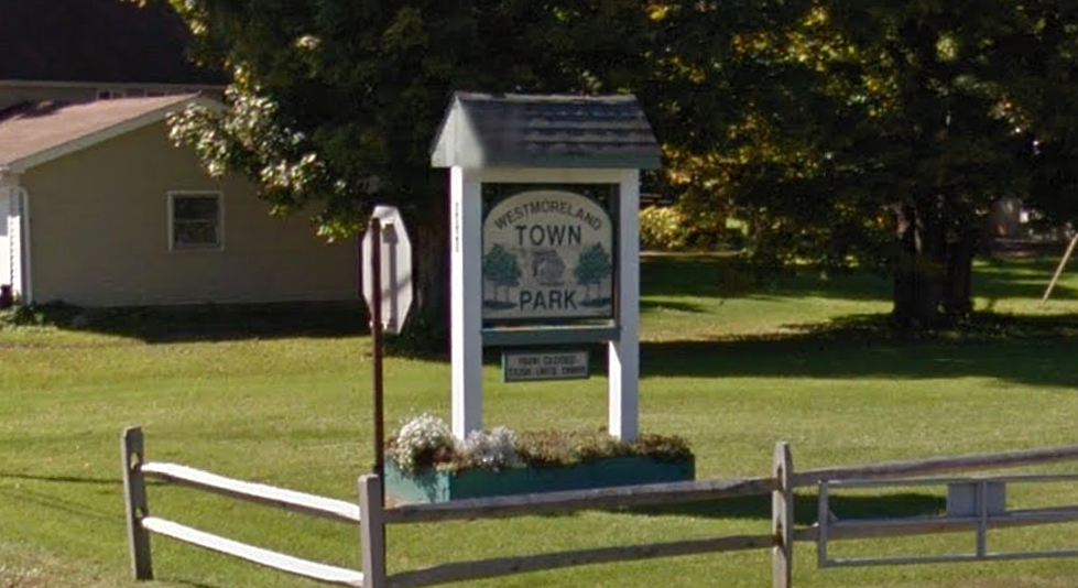 Westmoreland Town Council Ban Dogs From Town Park