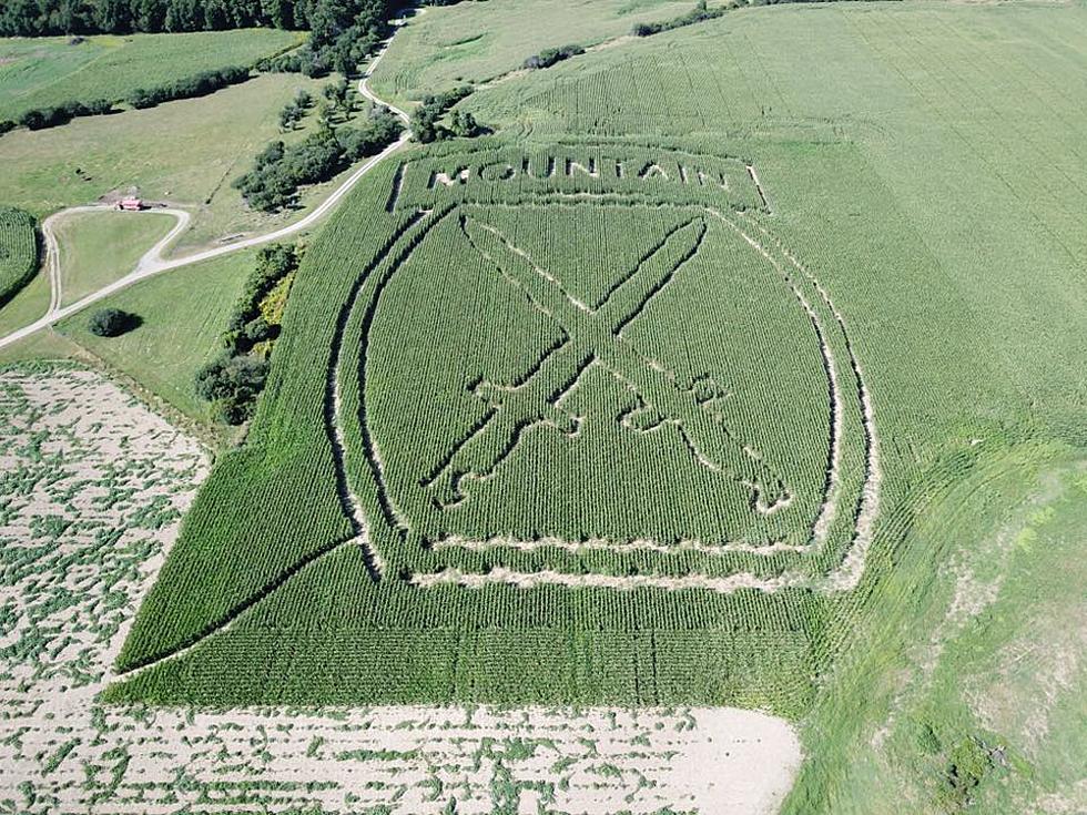 Fort Drum Corn Maze in Upstate New York