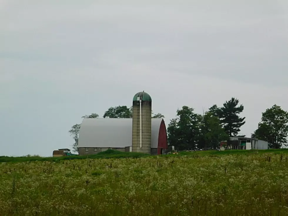 Farm Bureau Finds Most NY Farms Financially Impacted by COVID-19