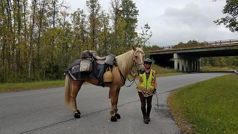 Woman Riding Horse Across the Country for Domestic Violence Trots Through CNY