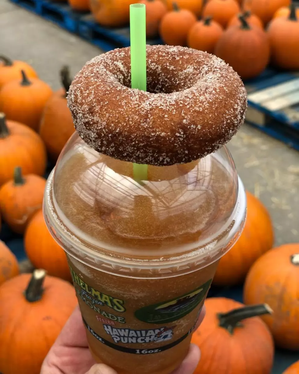 Move Over Hot Cider - Cider Slushies Are in Town at CNY Orchards
