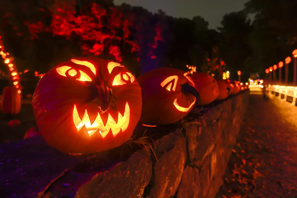 Trail of Hand Carved Glowing Pumpkins a MUST See in New York