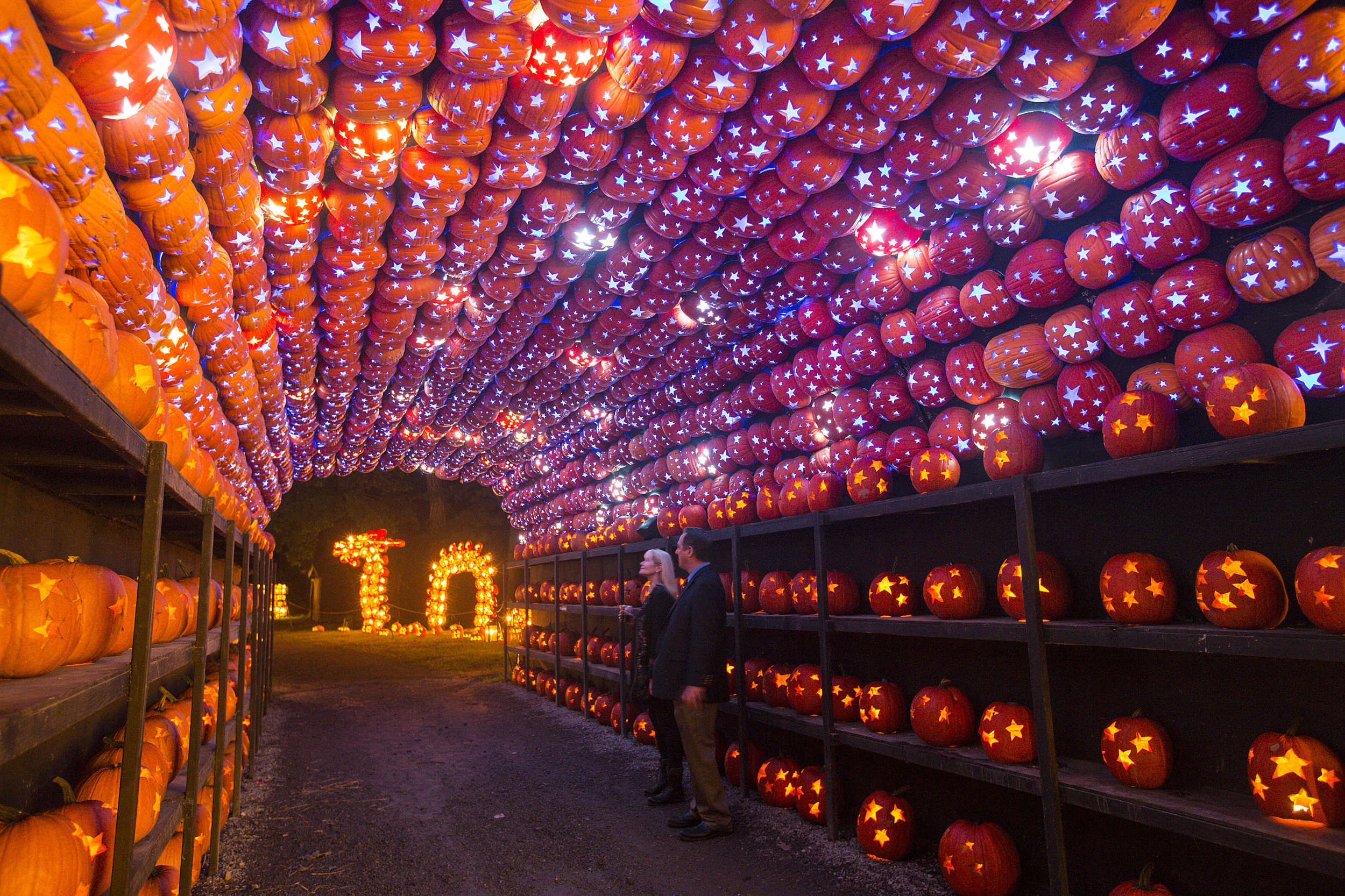 The Great Jack-O-Lantern Blaze Lights Up Two Magical NY Locations
