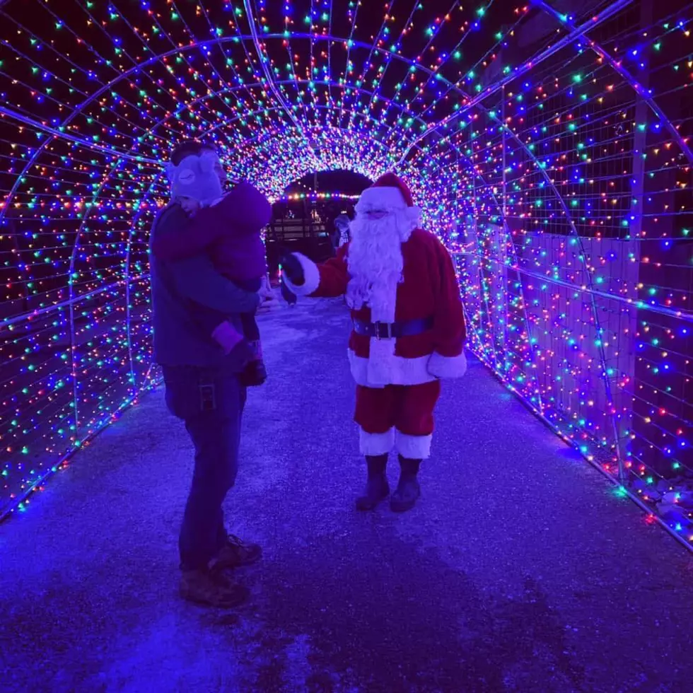 Photo Credit - Animal Adventure Park