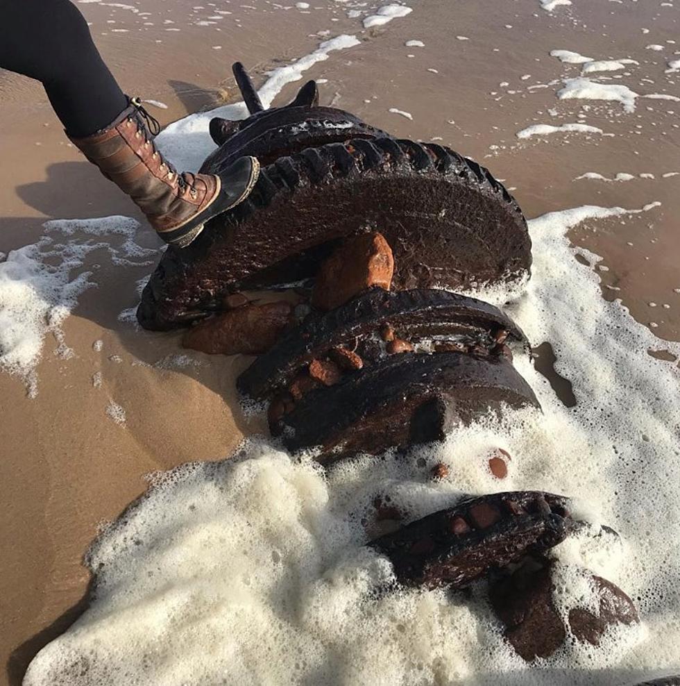What the Heck Washed Up on a New York Beach