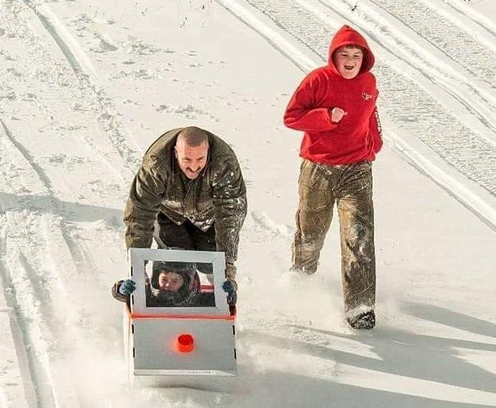 Put Old Boxes to Good Use at Cardboard Sled Races