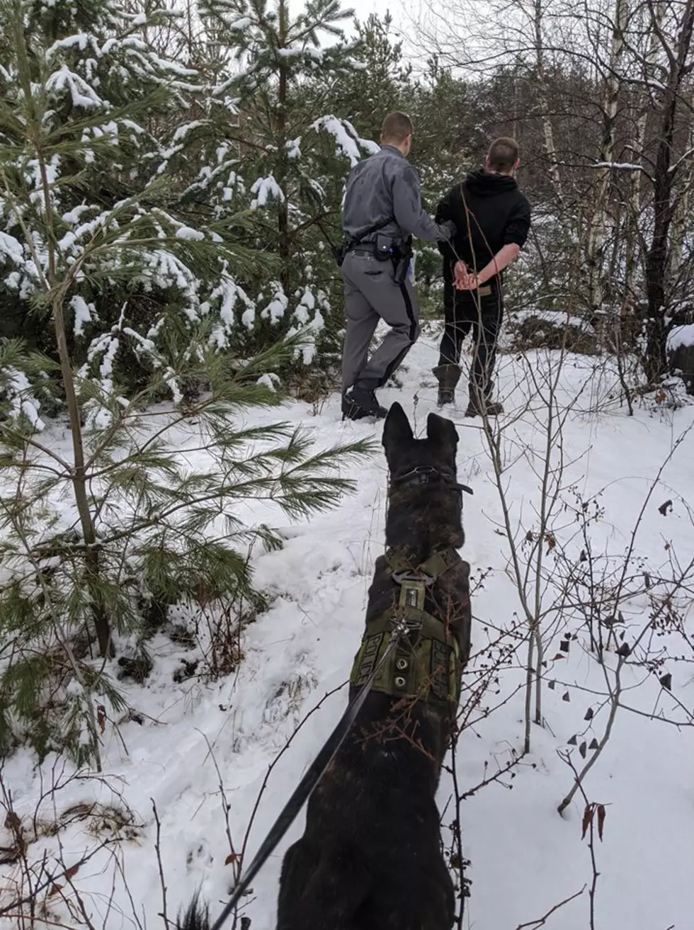 Police Dog Helps Find Man with Warrant Out for Arrest