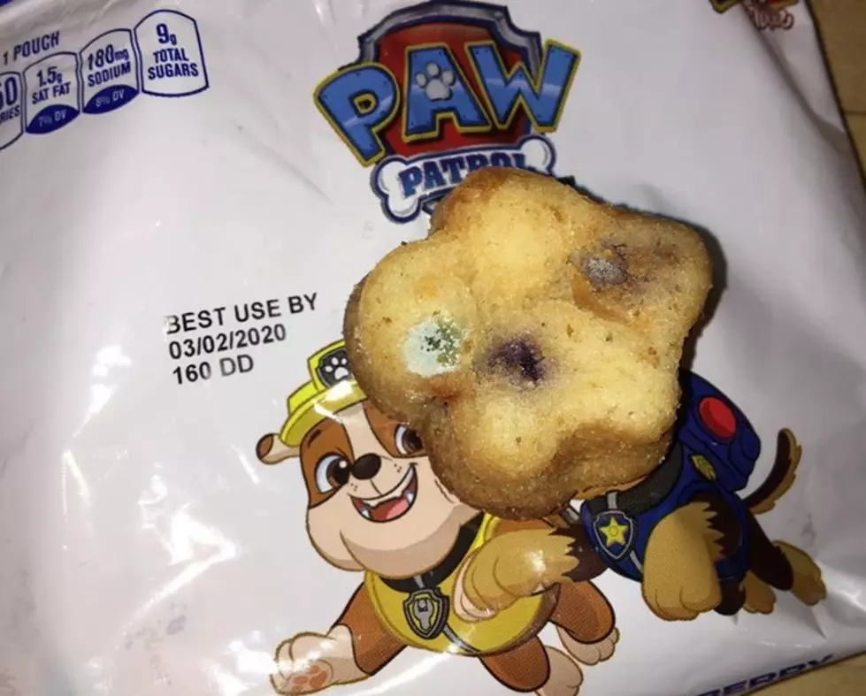 Paw Patrol Mini Muffins Pulled From Shelves Over Mold Complaints