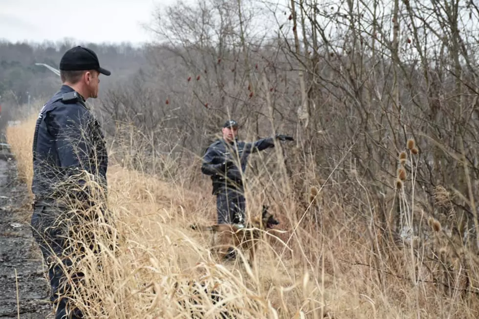 K-9’s, Underwater Rescue Team Join Search For Woman Missing After Flat Tire