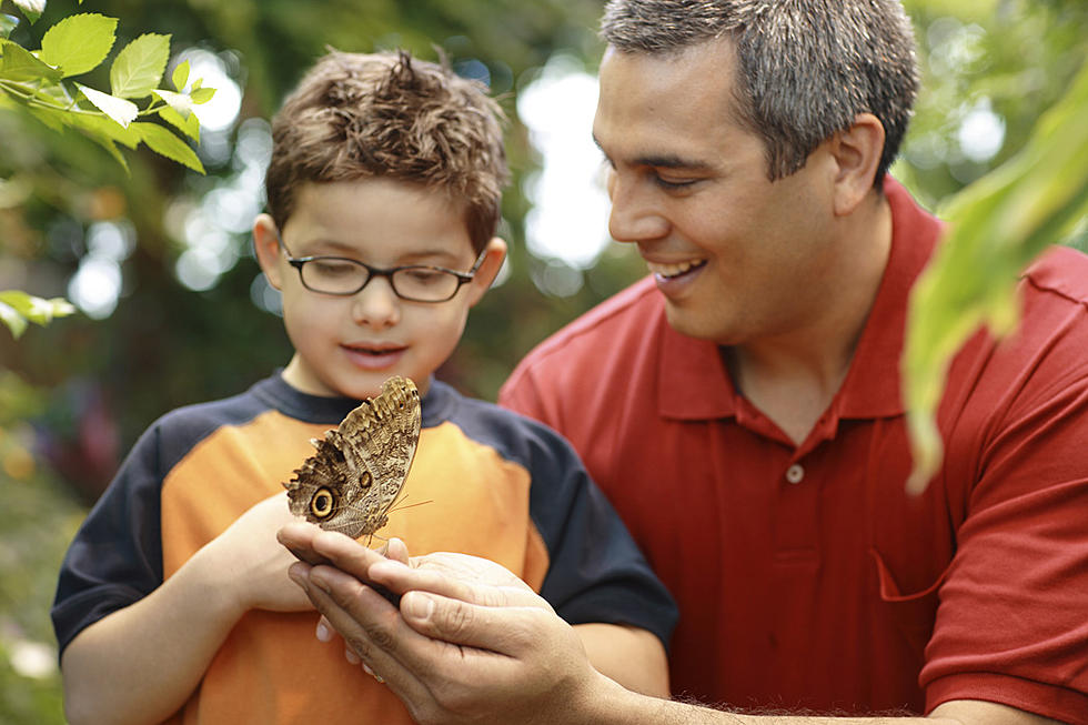 Escape Winter in Only Year-Round Indoor Butterfly Garden in Upstate New York