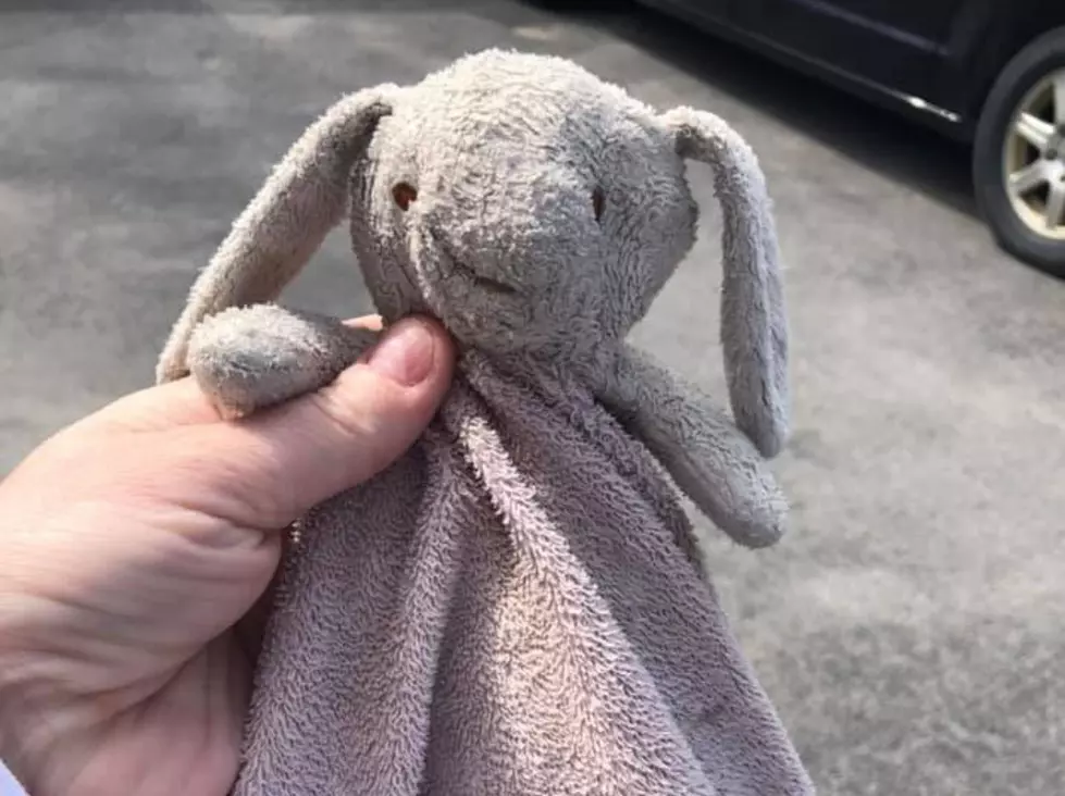 Help Bring Lost Bunny Back Home
