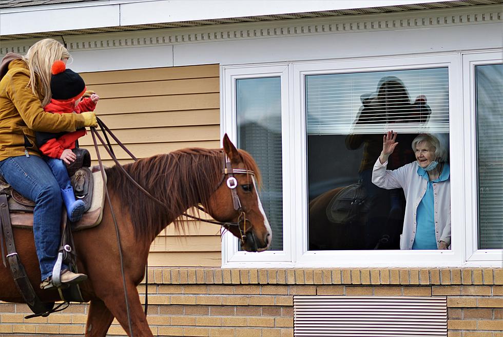 Horses Bring Smiles to Upstate New York Senior Citizens