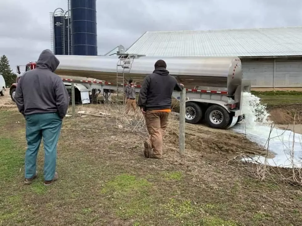 Why Are Farmers Dumping Thousands of Gallons of Milk 