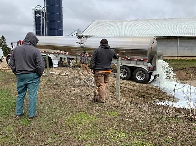 Why Are Farmers Dumping Thousands of Gallons of Milk Every Day