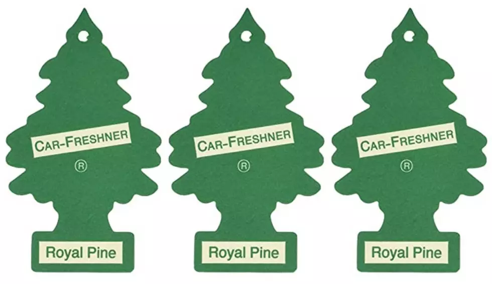 Did You Know That Little Trees Air Fresheners Were Invented In NY?