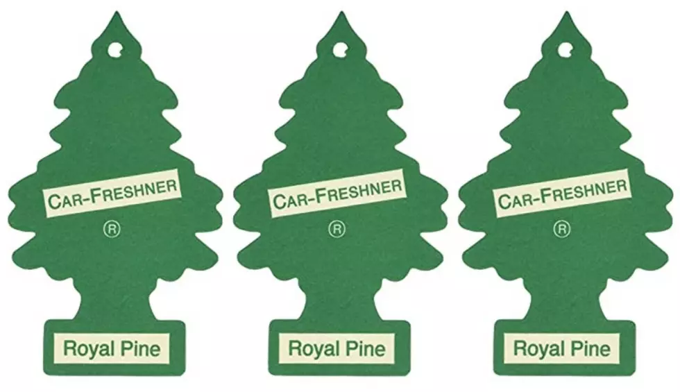 Did You Know That Little Trees Air Fresheners Were Invented In NY