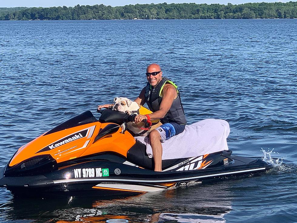 Bulldog Takes Jet Ski Ride