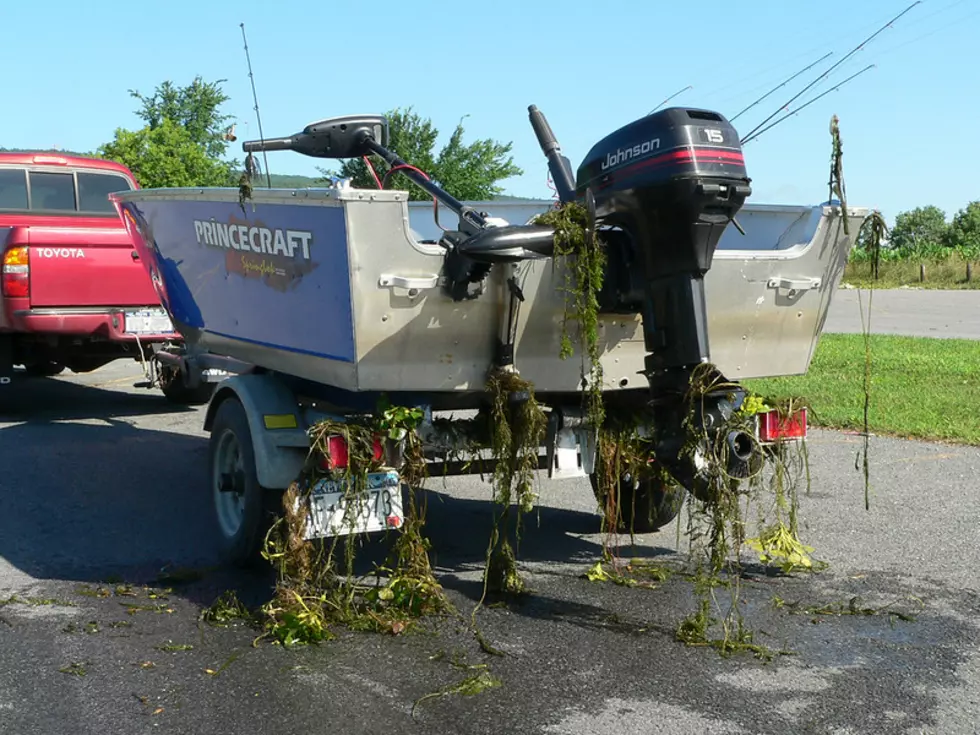 New York Hiring Boat Stewards for Oneida Lake and Other Regions