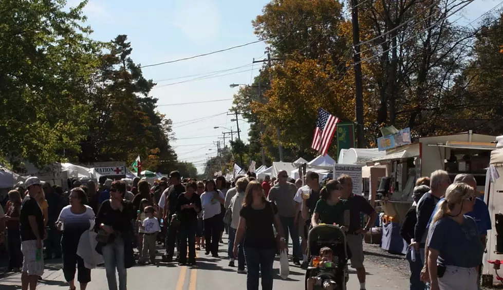 Remsen Barn Festival Put On 'Pause' Until 2022